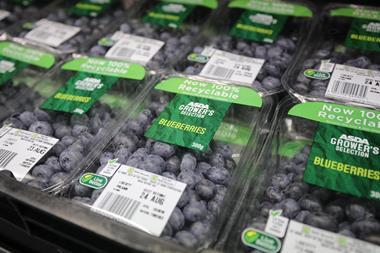 New blueberry punnets