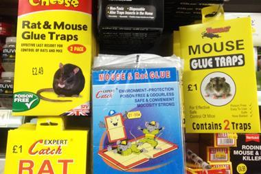 rat traps
