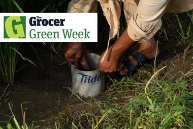 tilda Green Issue - 1