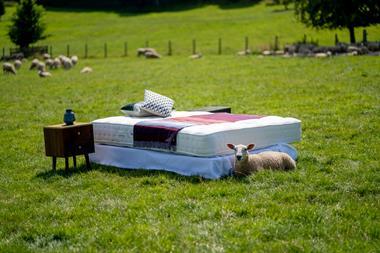John Lewis Classic mattress on location at Waitrose sheep farm 2