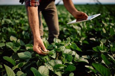 Close up of farm worker using touchpad during inspection of soybean crops in the field. - stock photo