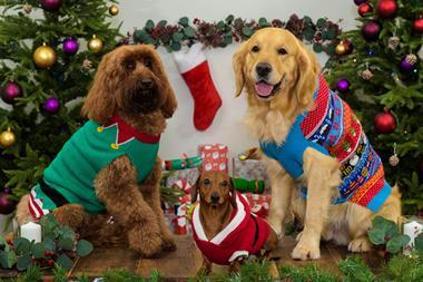 Sainsburys Christmas Dogs pet
