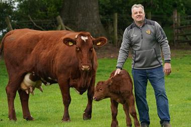 Morrisons_SeaweedForCattle_01 (2)