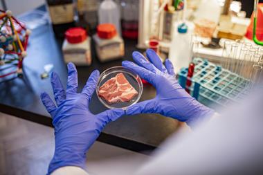lab grown meat