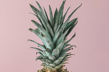 Pineapple_single use only
