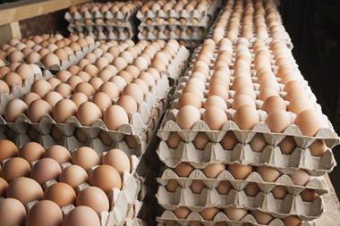 eggs