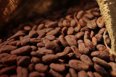 Cocoa2