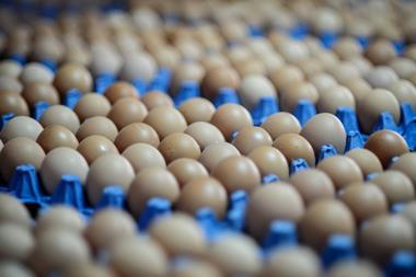 Egg packaging - one use