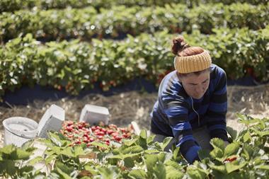 GettyImages-2233678651