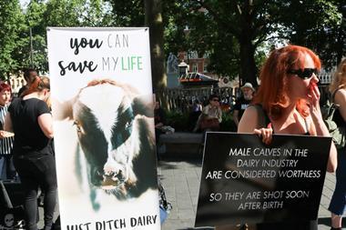 vegan dairy protesters