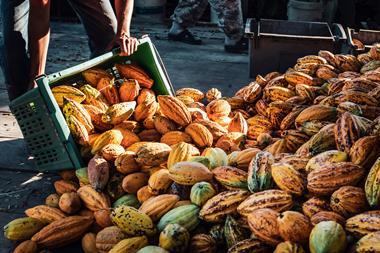cocoa pods - getty