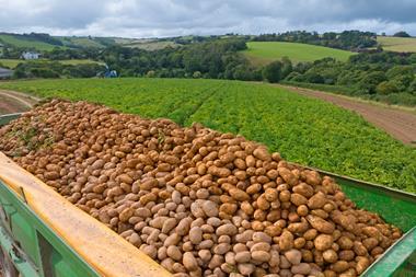 trailer of potatoes - getty