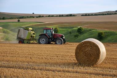 Harvest time - stock photo - Getty Images