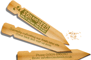 Tesco targets London with return of organic veg boxes