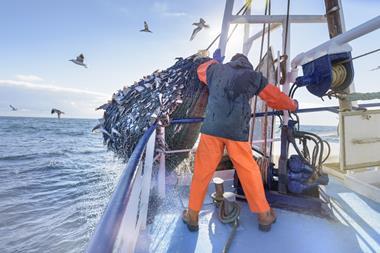 Fisherman emptying net full of fish into hold on trawler
