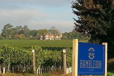 Hambledon Vineyard