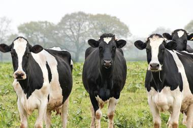 Dairy Crest farmers hit with second price cut