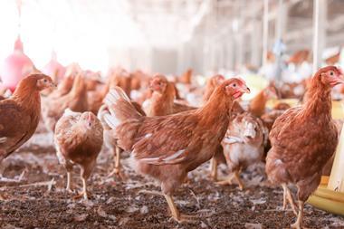 GettyImages-2231216492