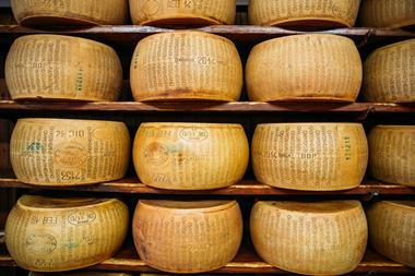 wheels of parmesan cheese on a shelf