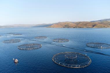Fish farm salmon sea nets farming at sea Loch Tay Scotland UK - stock photo