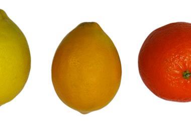 Left to right: standard lemon, sweet Meyer lemon, mandarin