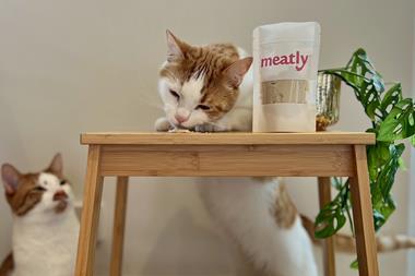 2 Lami and Zanzi with Mealty Chicken. Photo Credit; Harriet Constable-Meatly