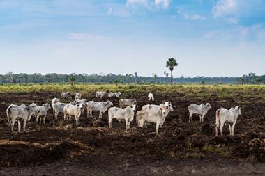 GettyImages-1629814926