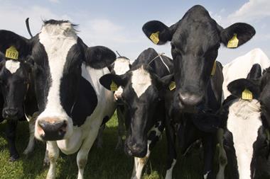 Milk Link and Arla to form UK’s biggest dairy