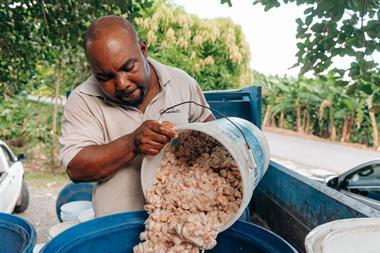 Rabot Estate - Island growers A7206159