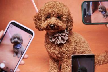 celebrity dog social media influencer
