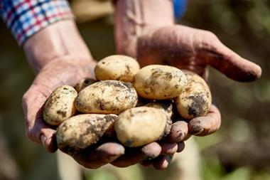 Cornish new potatoes