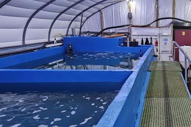 King prawn demonstrator in Scotland. Credit Rastech