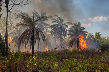 GettyImages-2164445220