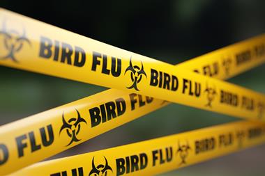 Bird Flu Quarantine Tape Barrier Before Defocused Background - stock photo