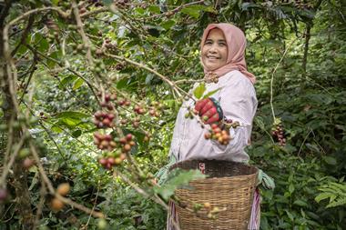 Fairtrade Premium Impact