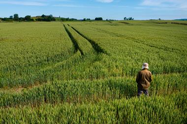 High angle view of a senior man in a field
