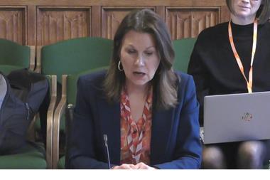 baroness efra inquiry