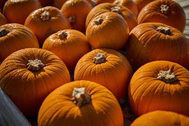 Barfoots 29.09.25_0009