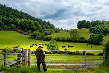 farmland - getty