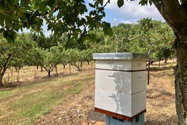 The Hive Honey Company
