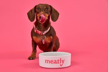 Biscuit with Meatly pet food