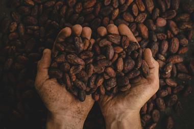 pablo-merchan-montes-SCbq6uKCyMY-unsplash