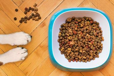 bowl of dog food