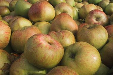 Sainsbury's claims crown for British apples