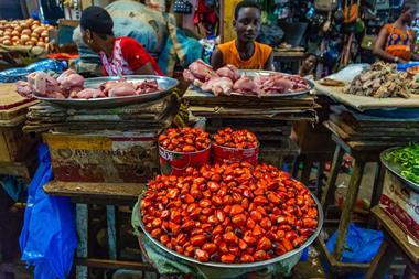 palm oil kernels in market