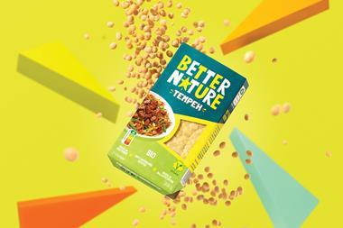 2025-01-JAN__BetterNature_DE_ProductShot_OrganicTempeh_low-res_RGB_WEB_2000x1600px_landscape