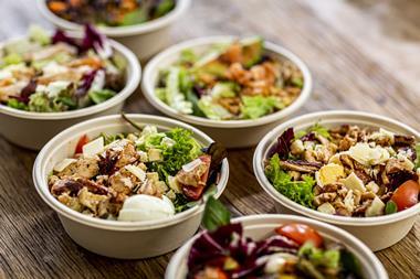 healthy food organic salad lunch