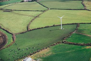 fields cows cattle wind turbine