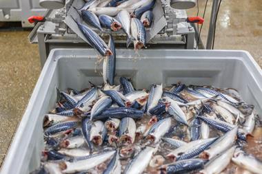 Mackerel getty images