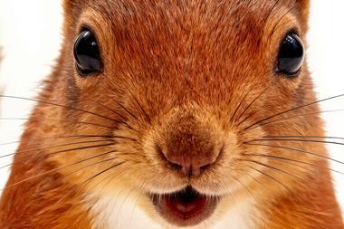 MASTER 8 C.00_00_09_00.Still007